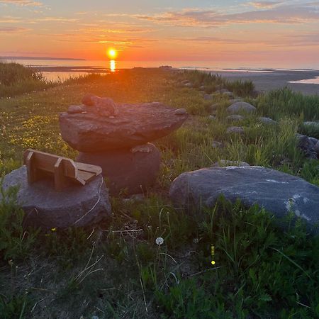 Vila Sun& Relax- Tinyhouse Syytme Exteriér fotografie